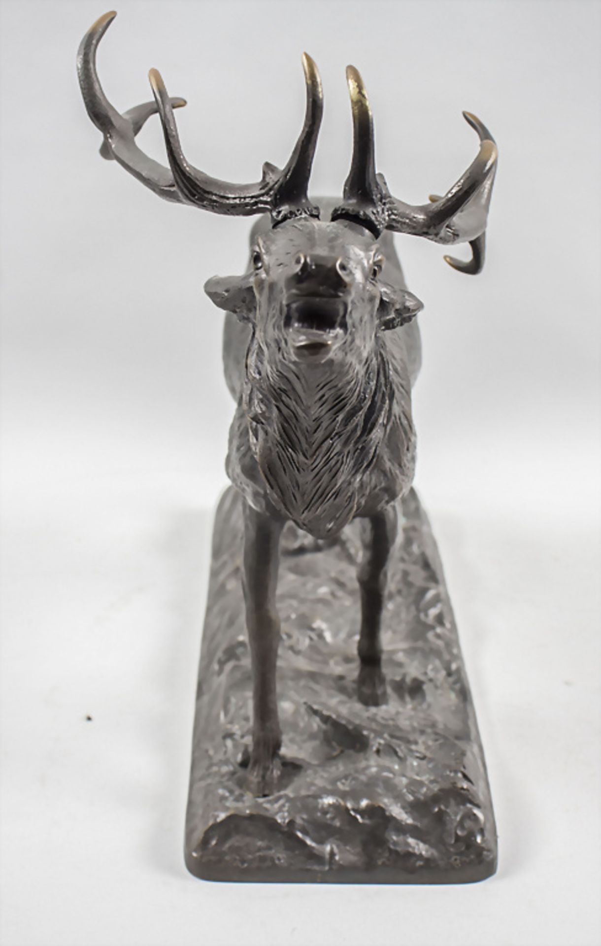 Bronzeplastik 'Röhrender Hirsch - 10-Ender' / Bronze sculpture of a roaring deer - Image 4 of 10