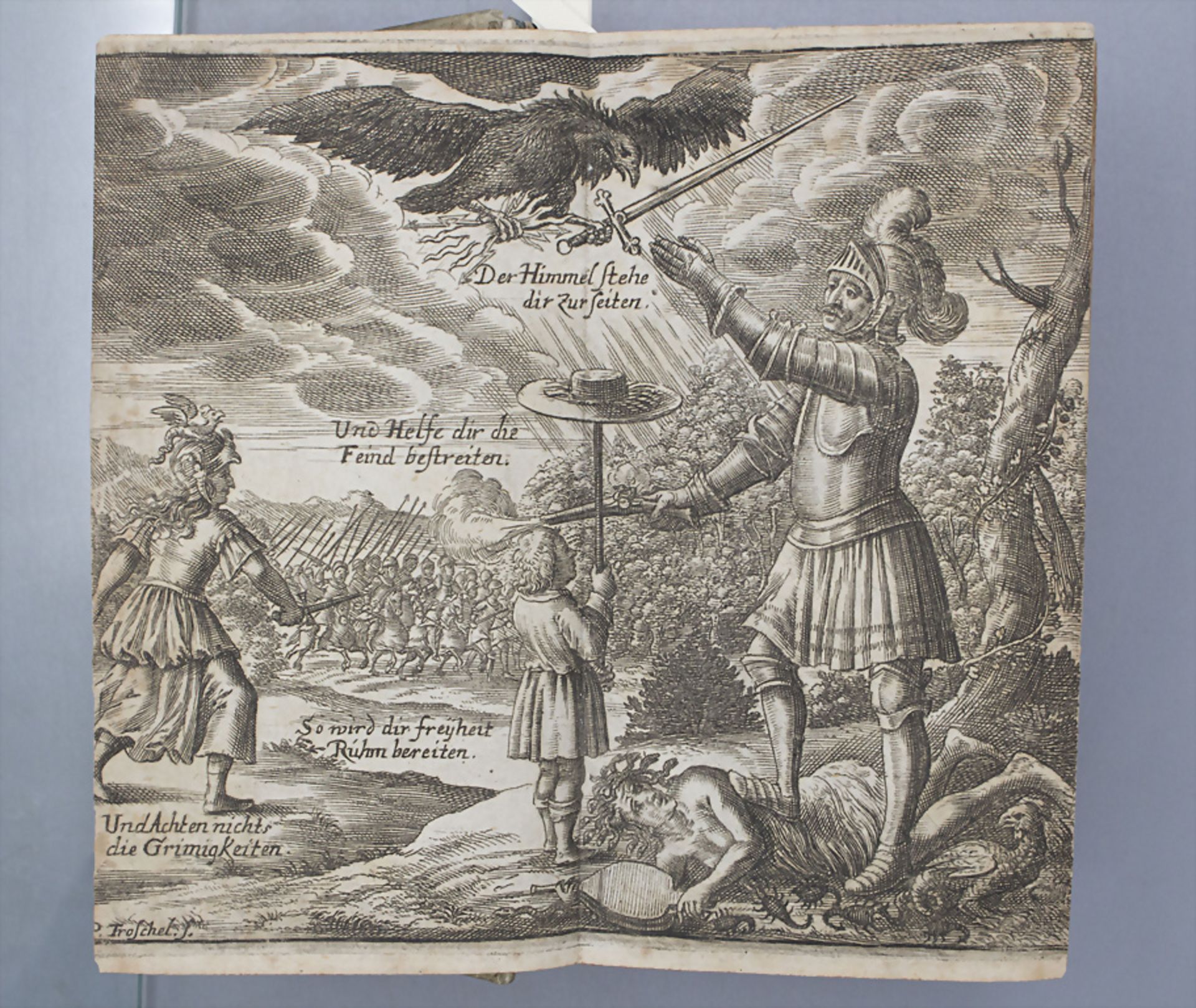 Mattheus Smallegange (1624-1710): 'Niederlands Erquickung oder Der erwachte Löw', 2. Bände, ... - Bild 3 aus 10
