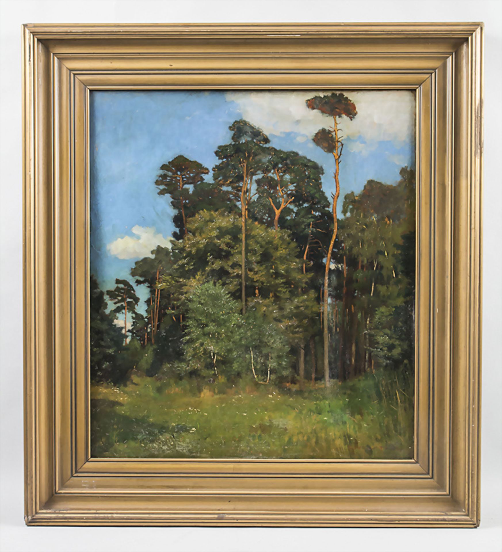 Gustav HOLSTEIN (1876-?), 'Kiefernwald' / 'Pine forest' - Bild 2 aus 5