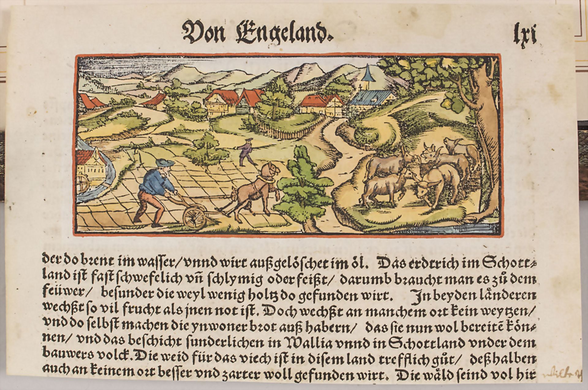 Zwei historische Buchillustrationen / Two historic book illustrations, deutsch, 17./18. Jh. - Bild 3 aus 8