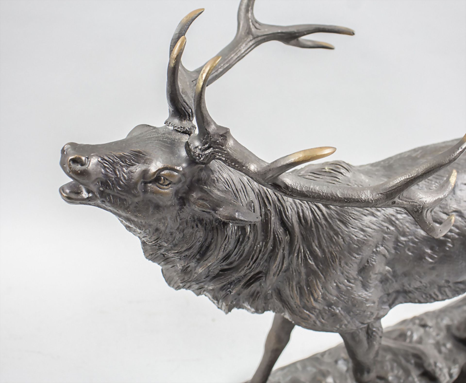 Bronzeplastik 'Röhrender Hirsch - 10-Ender' / Bronze sculpture of a roaring deer - Image 3 of 10