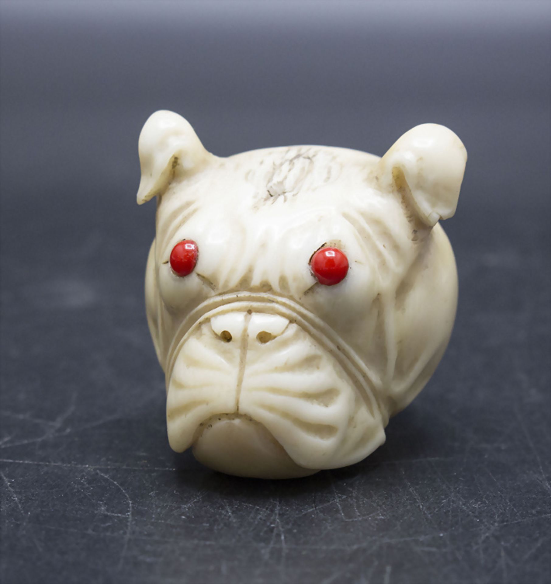 Flanierstock-Knauf als Bulldogge / A walking stick knob in the shape of a bulldog, um 1900 - Image 2 of 5