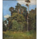 Gustav HOLSTEIN (1876-?), 'Kiefernwald' / 'Pine forest'