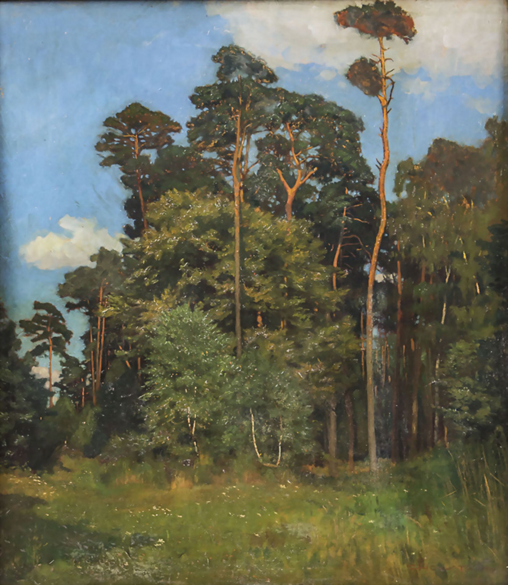 Gustav HOLSTEIN (1876-?), 'Kiefernwald' / 'Pine forest'