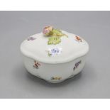 Zuckerdose mit einer Aster / A sugar bowl with an aster, Meissen, um 1880