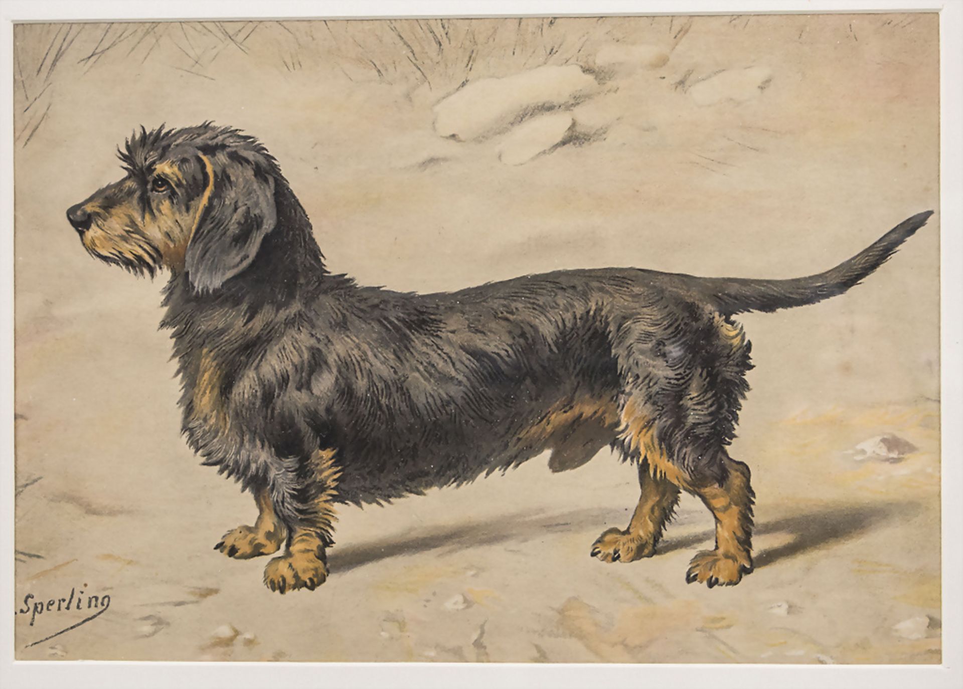 Heinrich Sperling (1844-1924), 'Der Rauhaardackel' / 'The wire-haired dachshund'