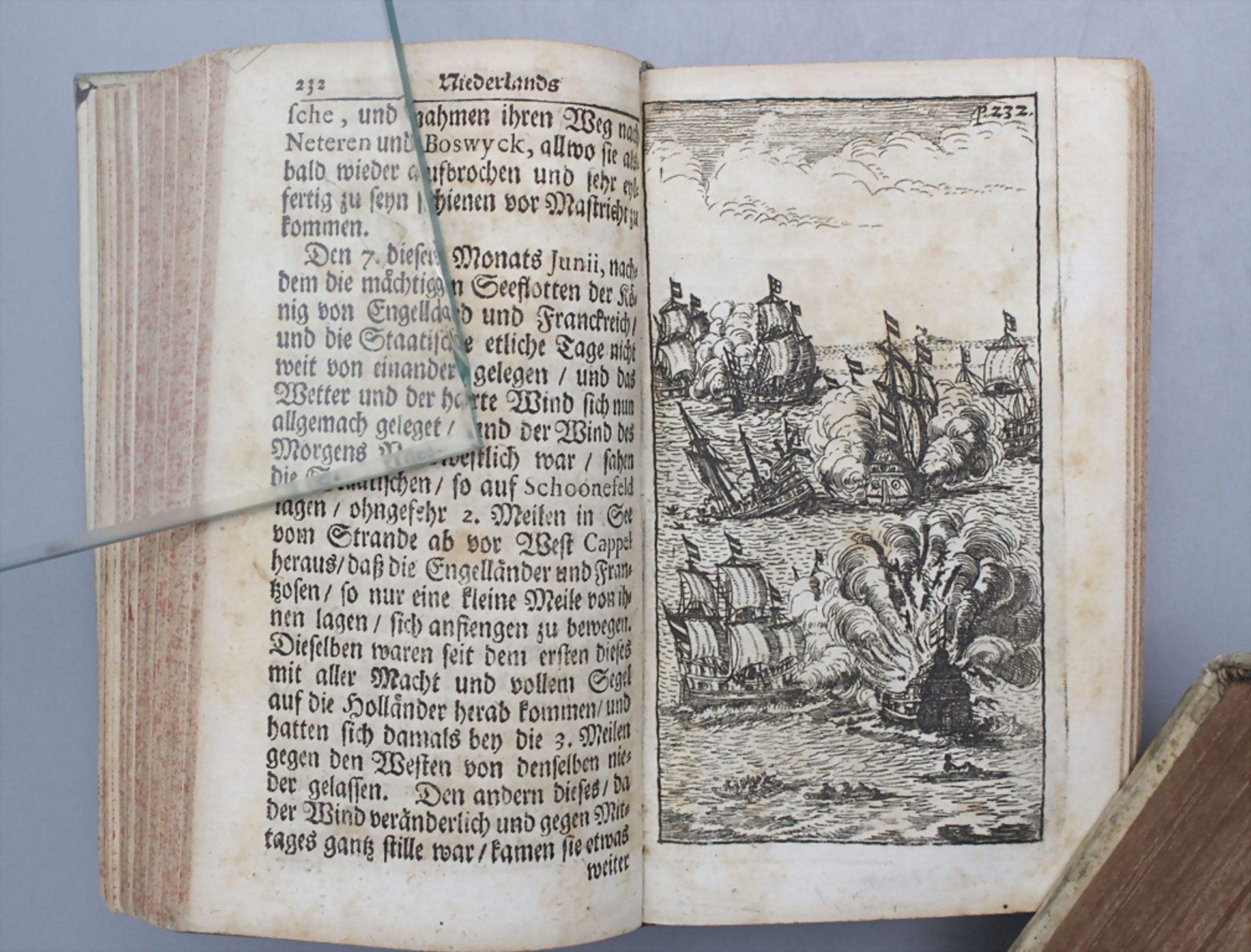 Mattheus Smallegange (1624-1710): 'Niederlands Erquickung oder Der erwachte Löw', 2. Bände, ... - Bild 10 aus 10