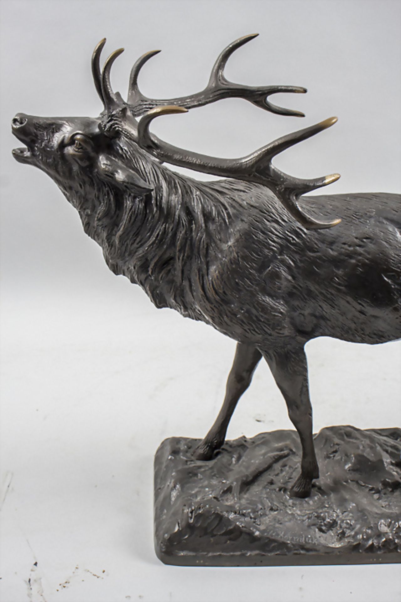 Bronzeplastik 'Röhrender Hirsch - 10-Ender' / Bronze sculpture of a roaring deer - Image 7 of 10