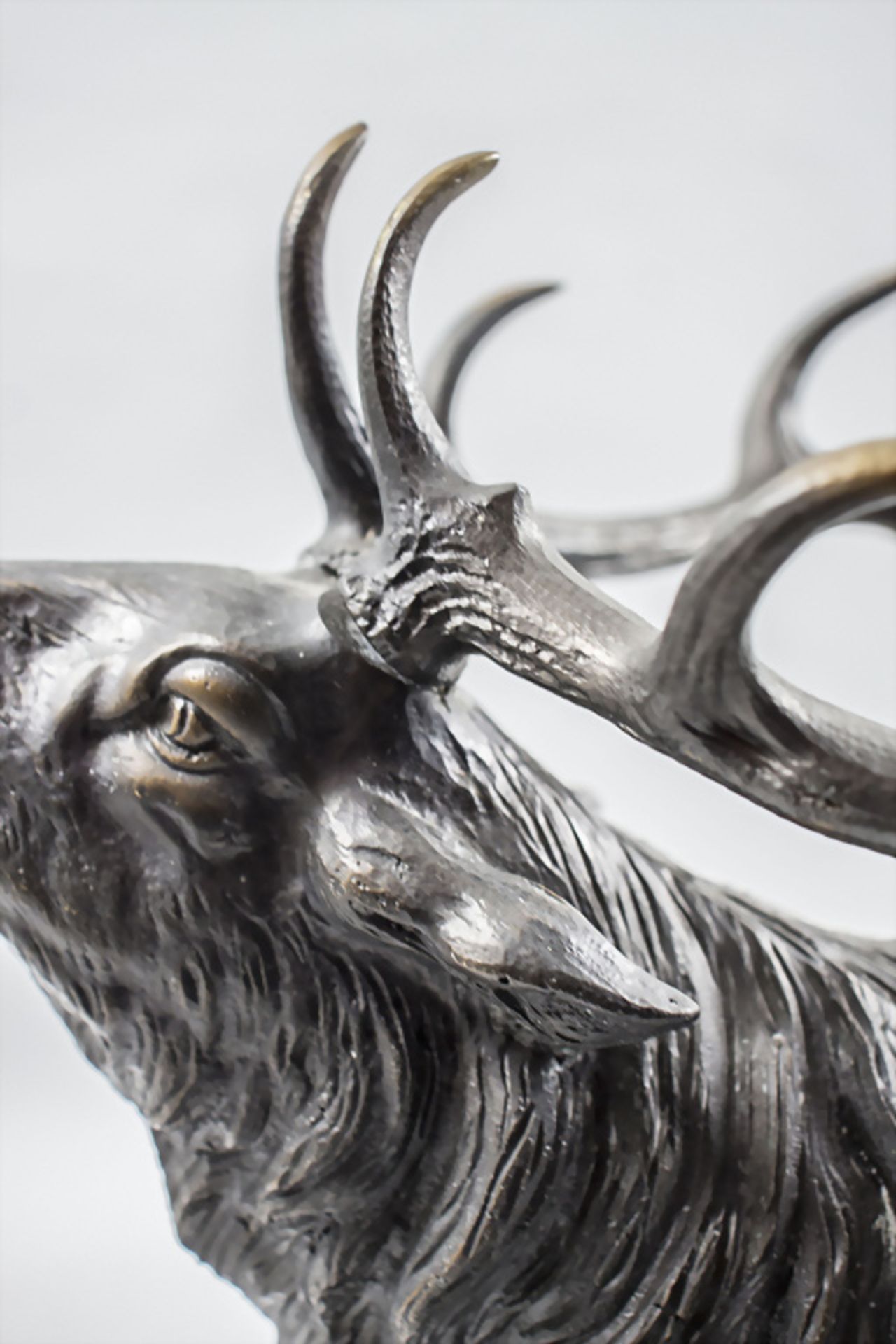 Bronzeplastik 'Röhrender Hirsch - 10-Ender' / Bronze sculpture of a roaring deer - Image 10 of 10