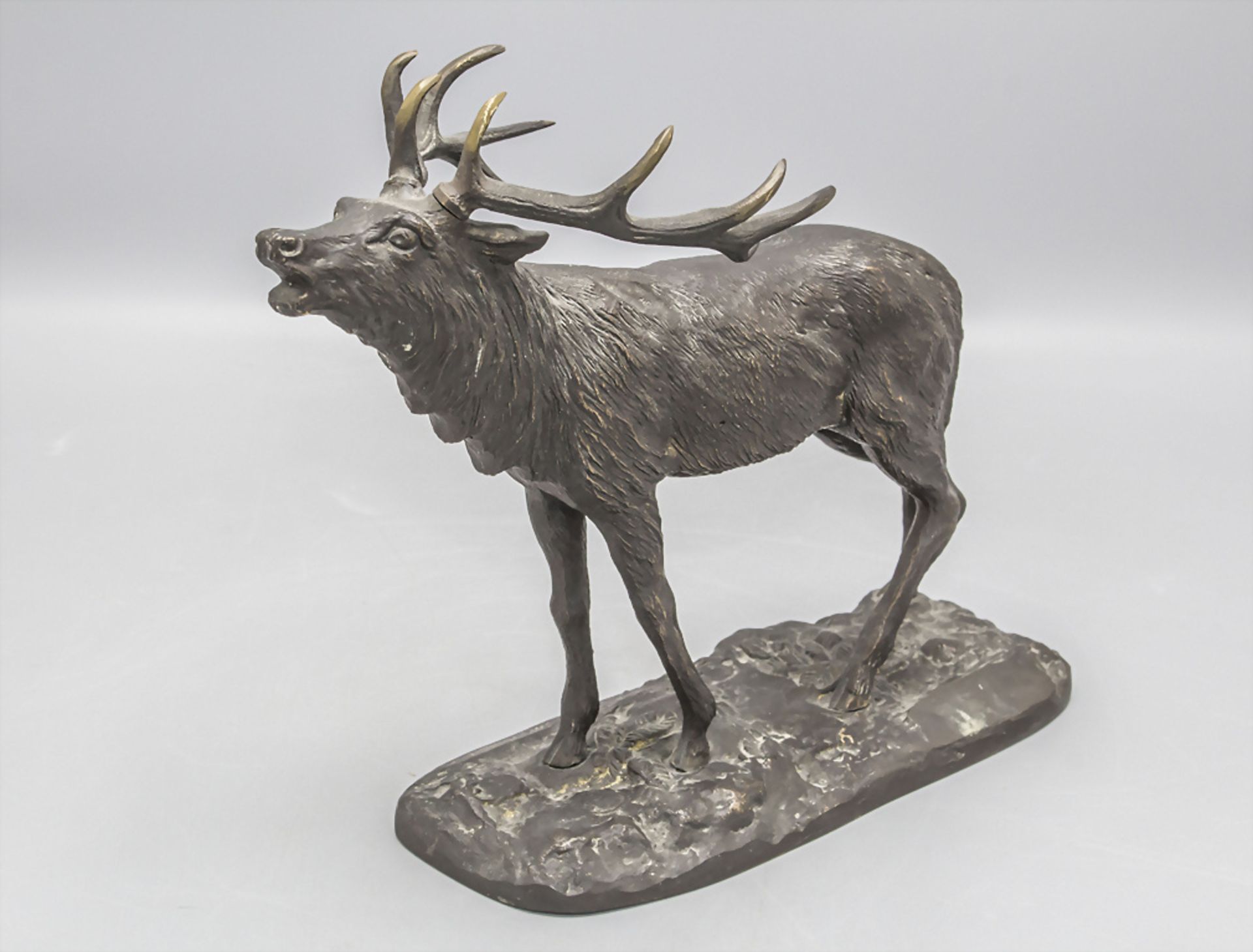 Bronzeplastik 'Röhrender Hirsch' / A bronze sculpture of a roaring stag, 20. Jh.