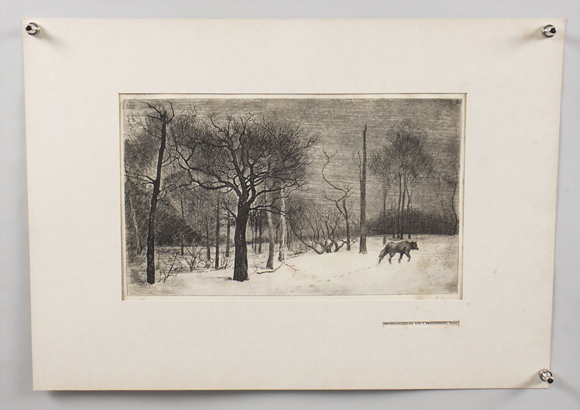 Félix BRAQUEMOND (1833-1914), 'Der Wolf im Schnee' / 'Le loup dans la neige', Zeitschrift für ...
