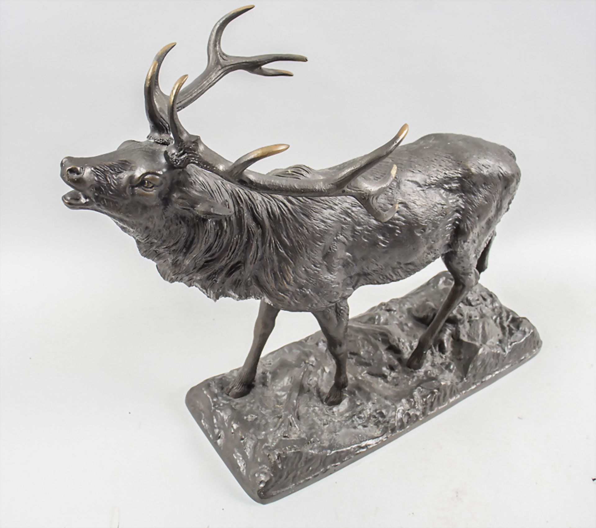 Bronzeplastik 'Röhrender Hirsch - 10-Ender' / Bronze sculpture of a roaring deer - Bild 2 aus 10