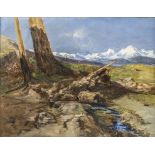 Carl HEYN (1834-1906), 'Gebirgsansicht' / 'Mountain view'