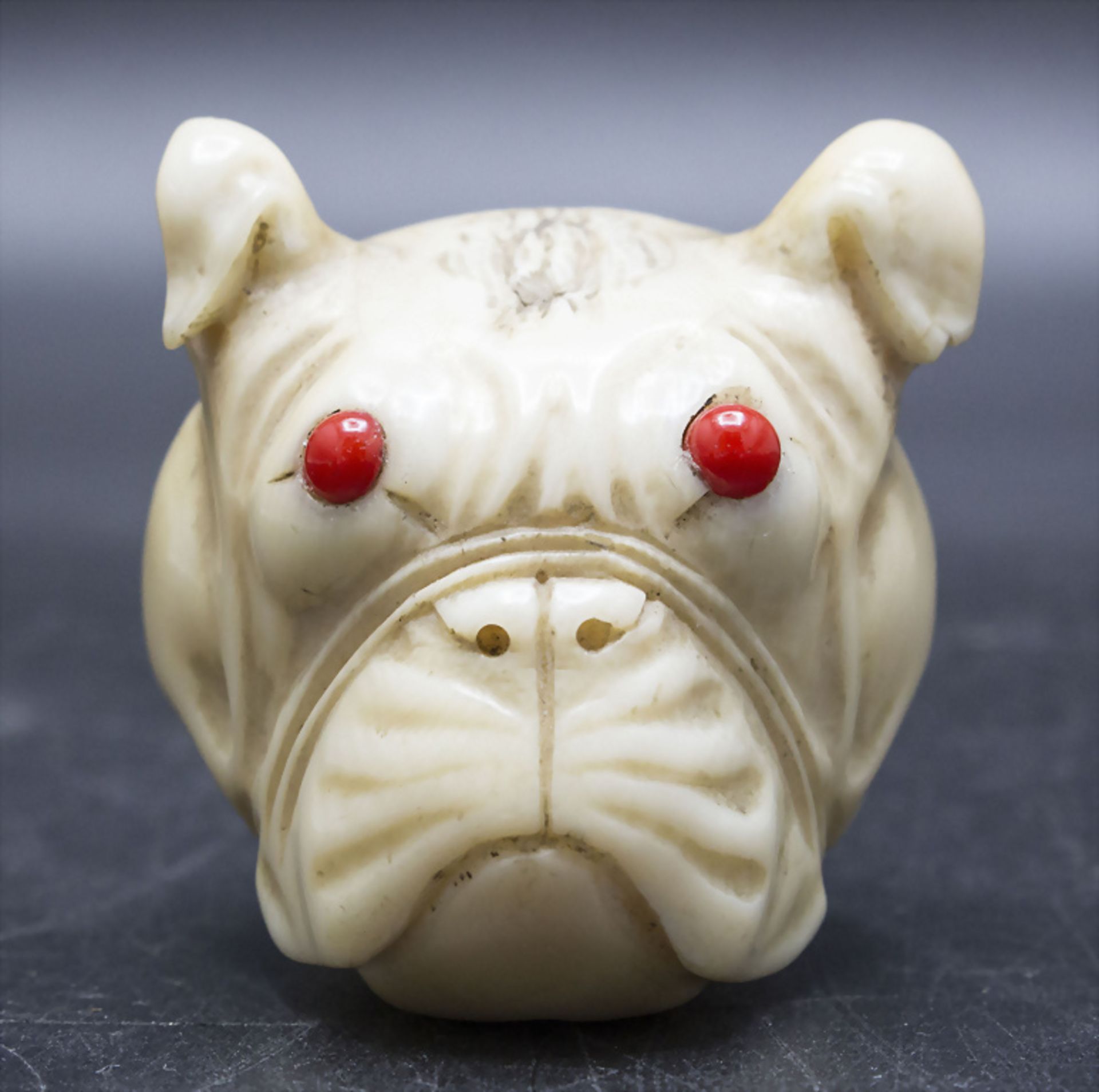 Flanierstock-Knauf als Bulldogge / A walking stick knob in the shape of a bulldog, um 1900