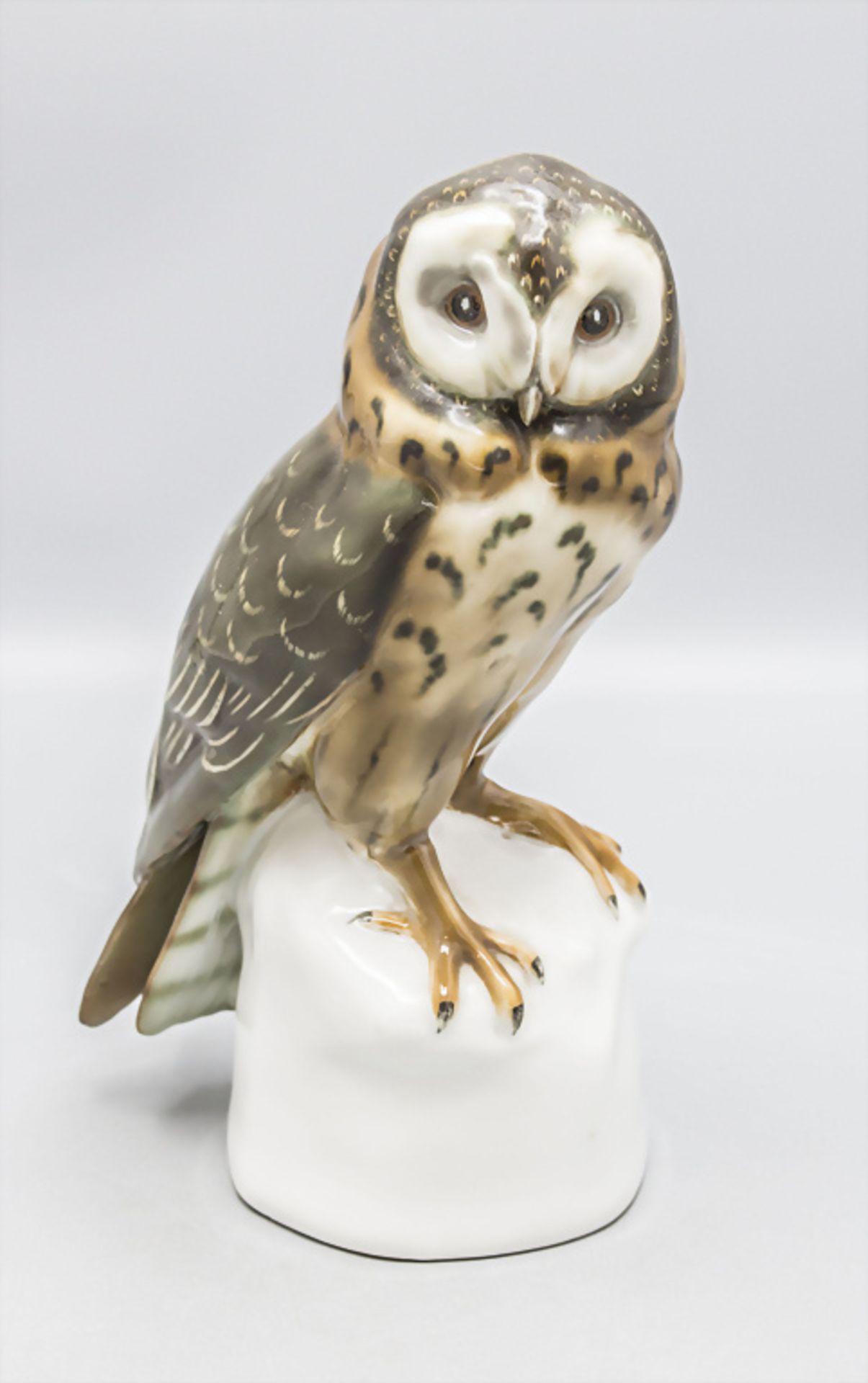 Waldkauz auf Sockel / A brown owl on a base, E. Pfeffer, Gotha, um 1920