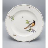 Teller mit Gartenrotschwanz / A plate with a redstart, Meissen, wohl 1. Hälfte 19. Jh.