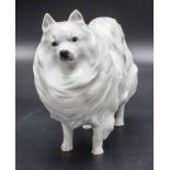 Hundefigur 'Stehender Zwergspitz' / A dog figure of a Pomeranian, Fritz Diller, Rosenthal, ...