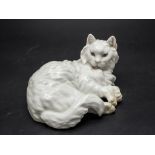 Perserkatze bei der Fellpflege / A reclining Persian cat, Augarten, Wien, nach 1922