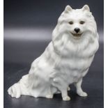 Sitzender Spitz / A sitting spitz, Karl Tutter, Hutschenreuther Kunstabteilung, Selb, Ende 20. Jh.