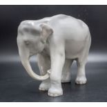 Stehender junger Elefant / A young standing elephant, Theodor Madsen, Royal Copenhagen, um 1900