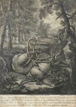 Martin Elias Ridinger, Zwei tote Hirsche im Wald