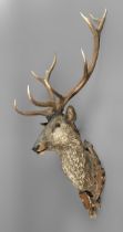 Deer antlers on a ceramic head