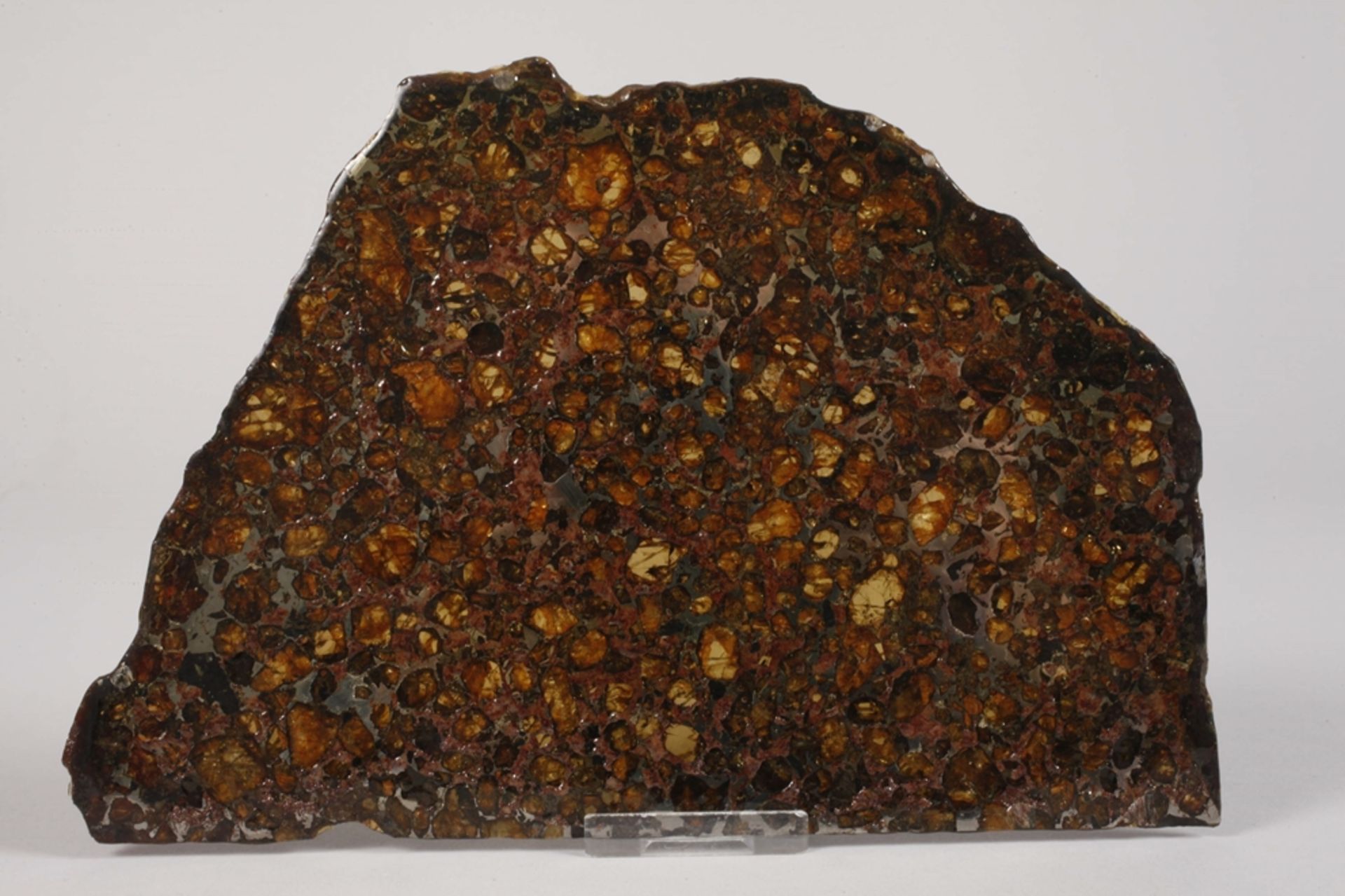 Meteorit Brahin Pallasit - Bild 4 aus 6