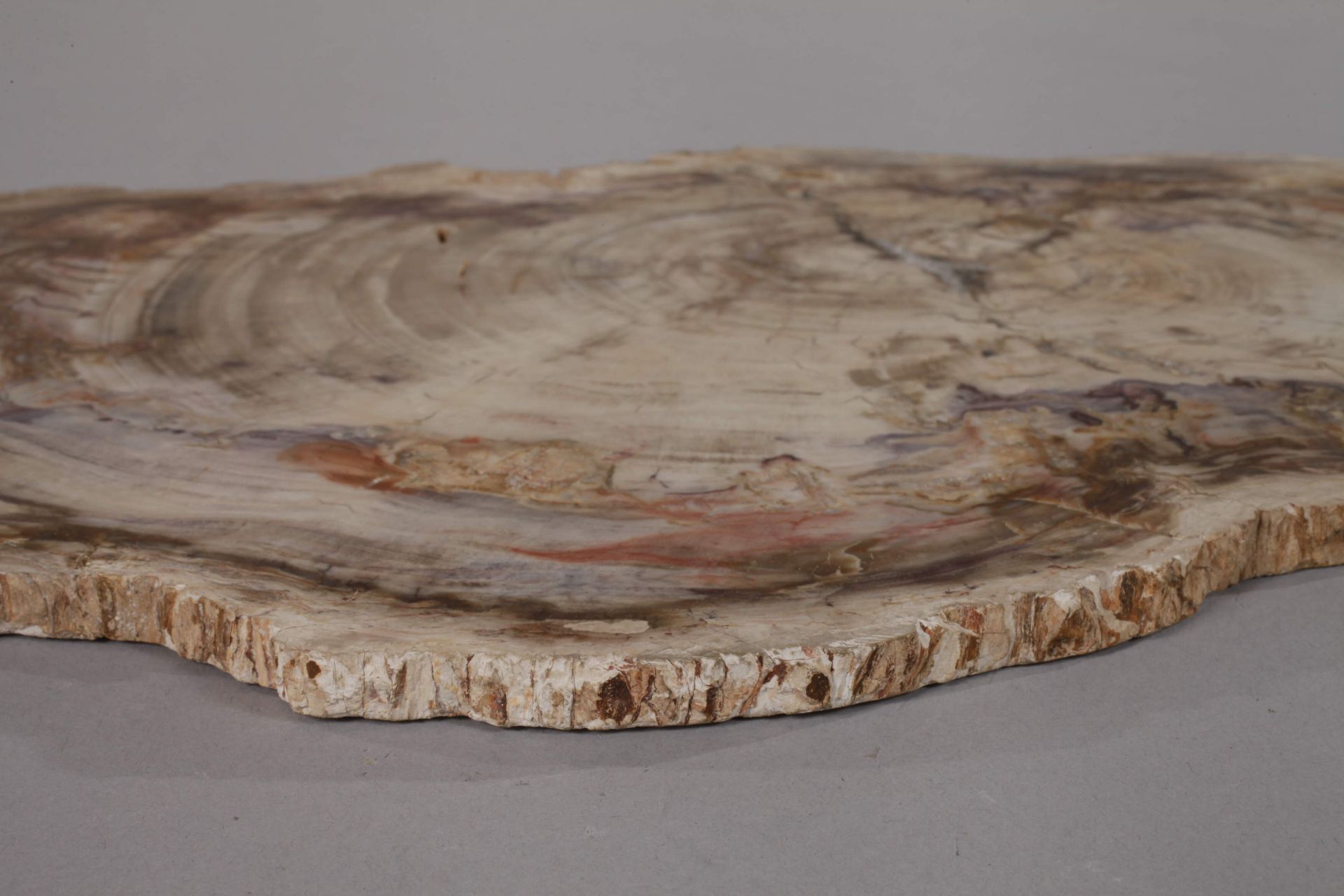 Fossilised wood - Image 5 of 5