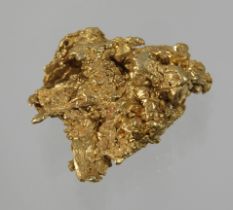 Gold-Nugget