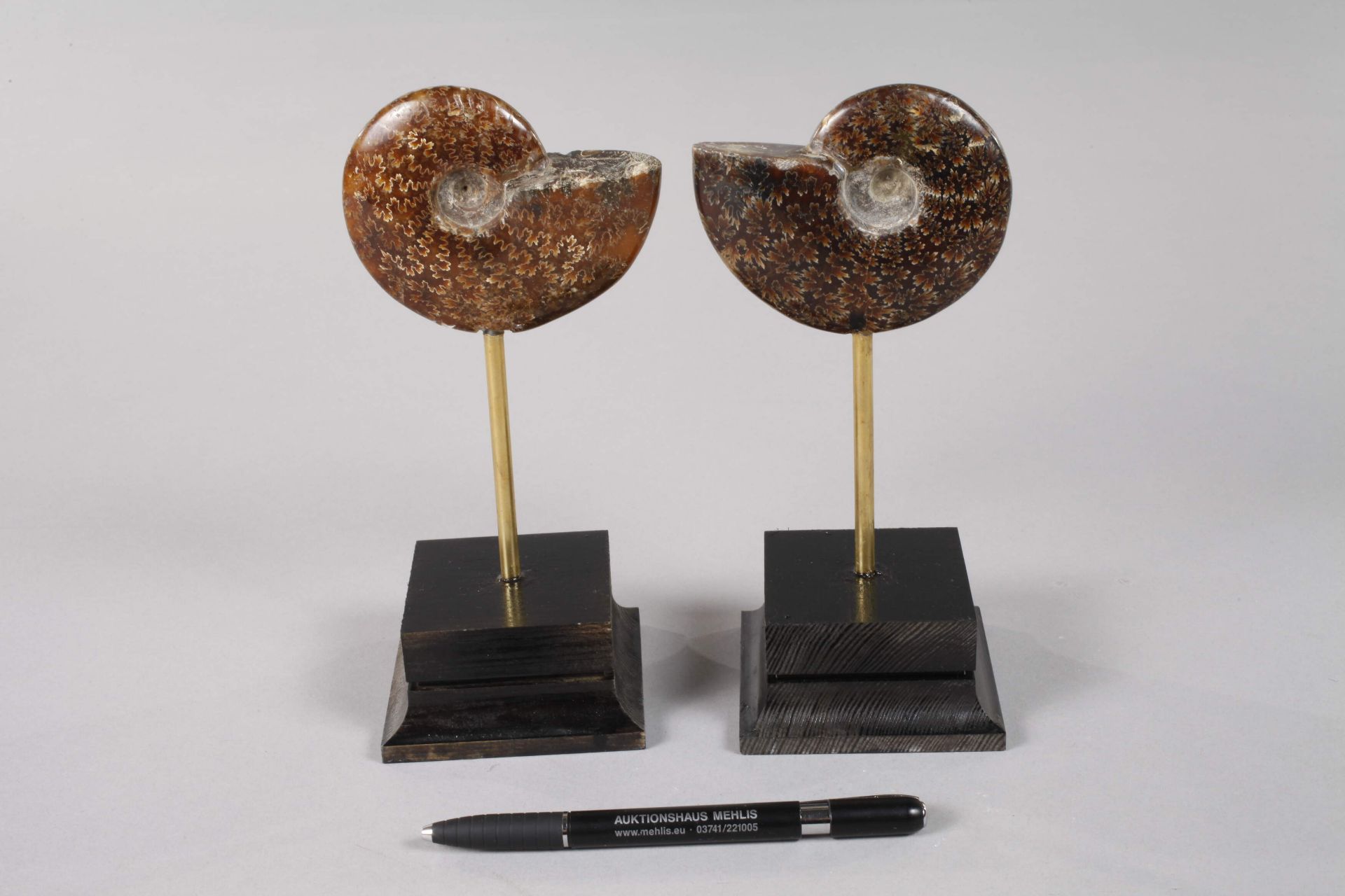 Paar Ammoniten auf Sockel - Bild 4 aus 4