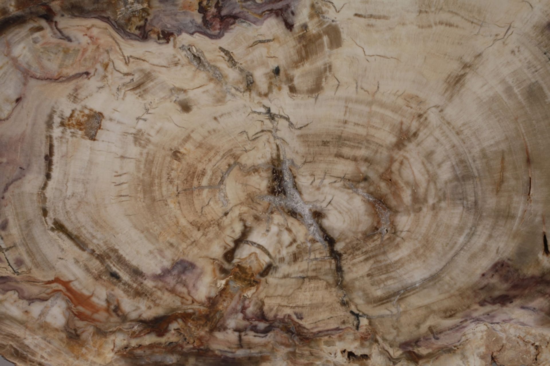 Fossilised wood - Image 2 of 5