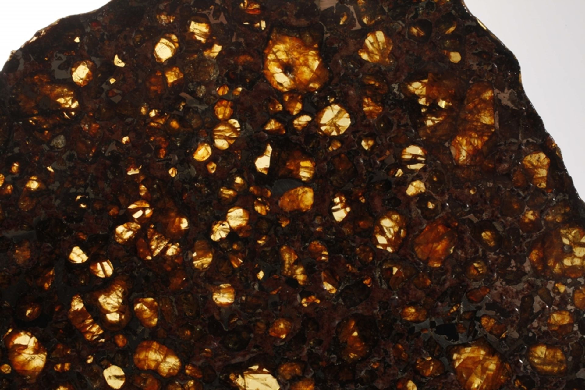Meteorit Brahin Pallasit - Bild 3 aus 6