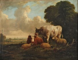 Cooper, Rastende Rinder mit Schafen