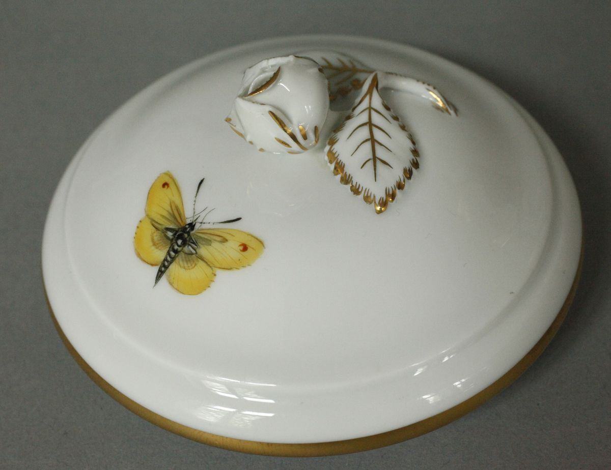 Meissen Tête-à-Tête "Bird and Insect Painting" - Image 5 of 12