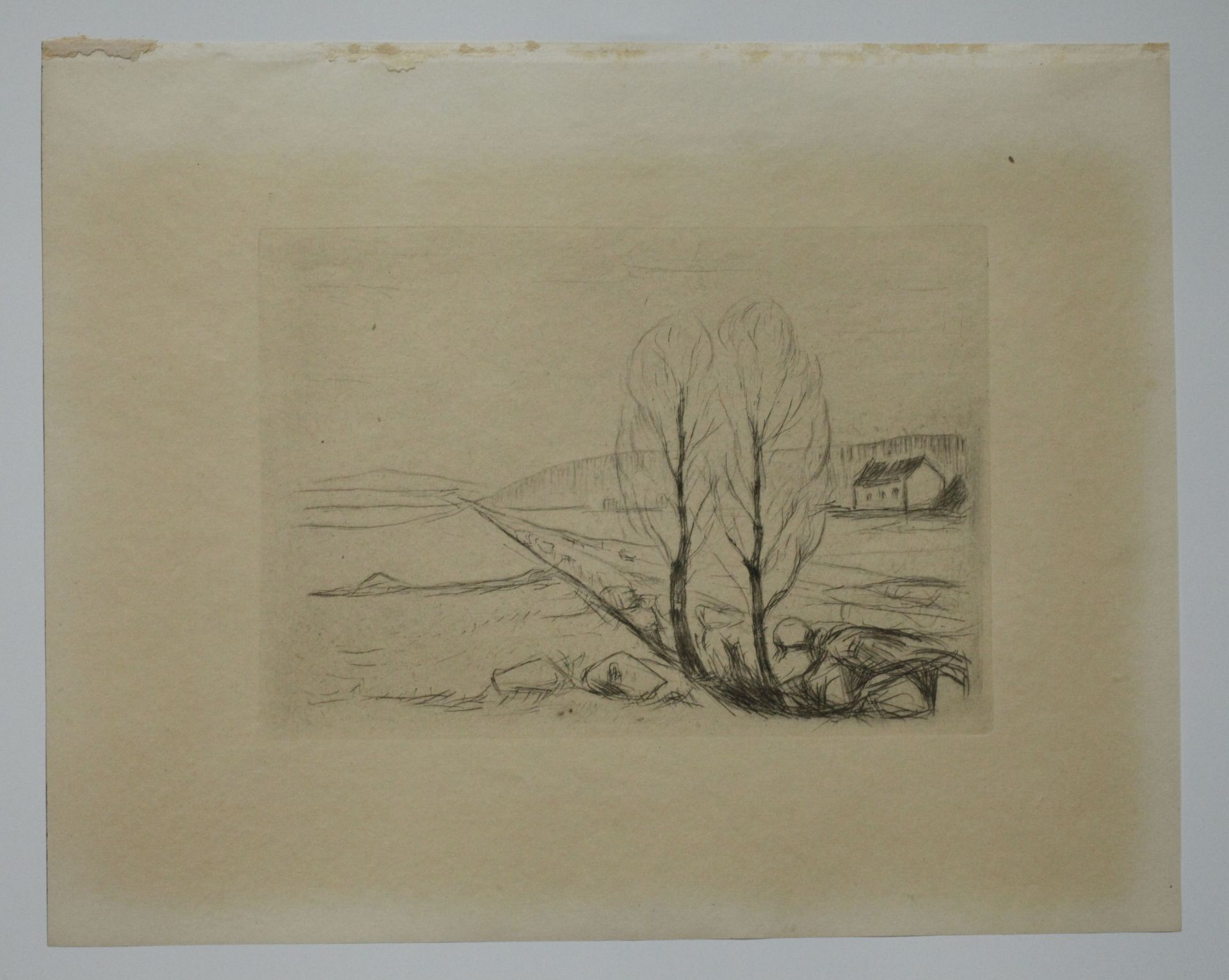 Edvard Munch, "Norwegische Landschaft" - Bild 4 aus 6