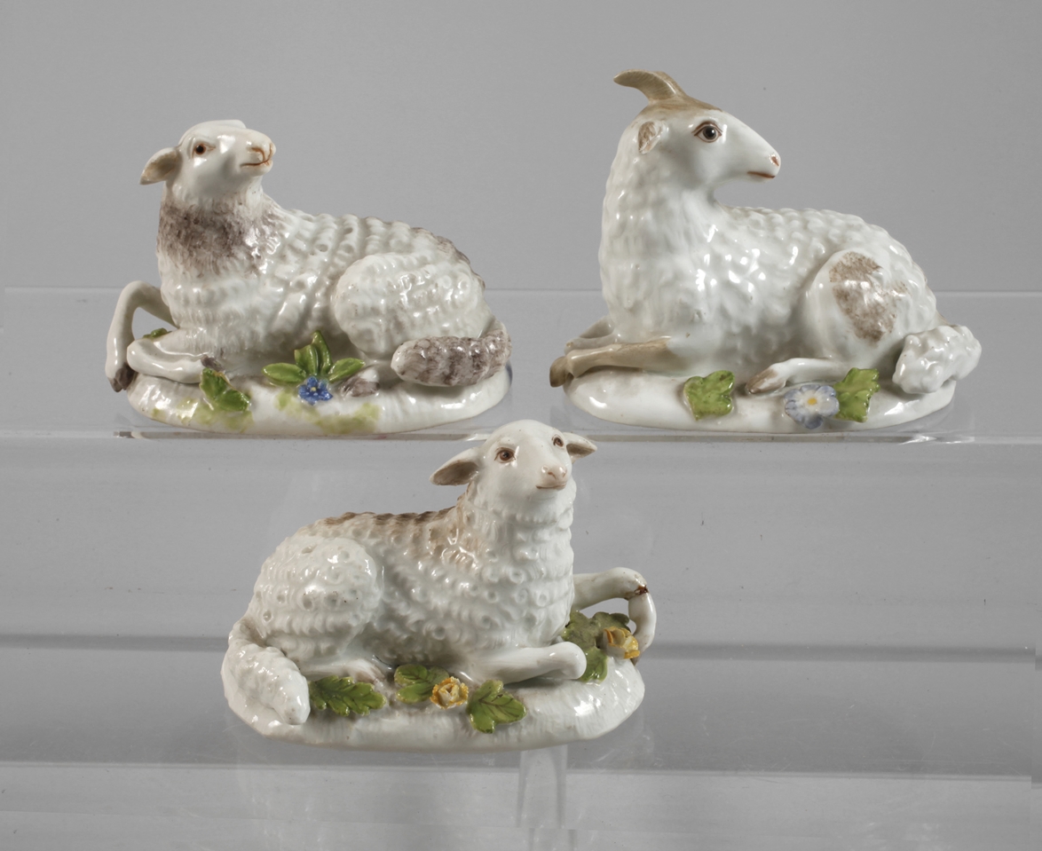 Meissen miniature rams and two miniature sheep