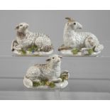 Meissen miniature rams and two miniature sheep