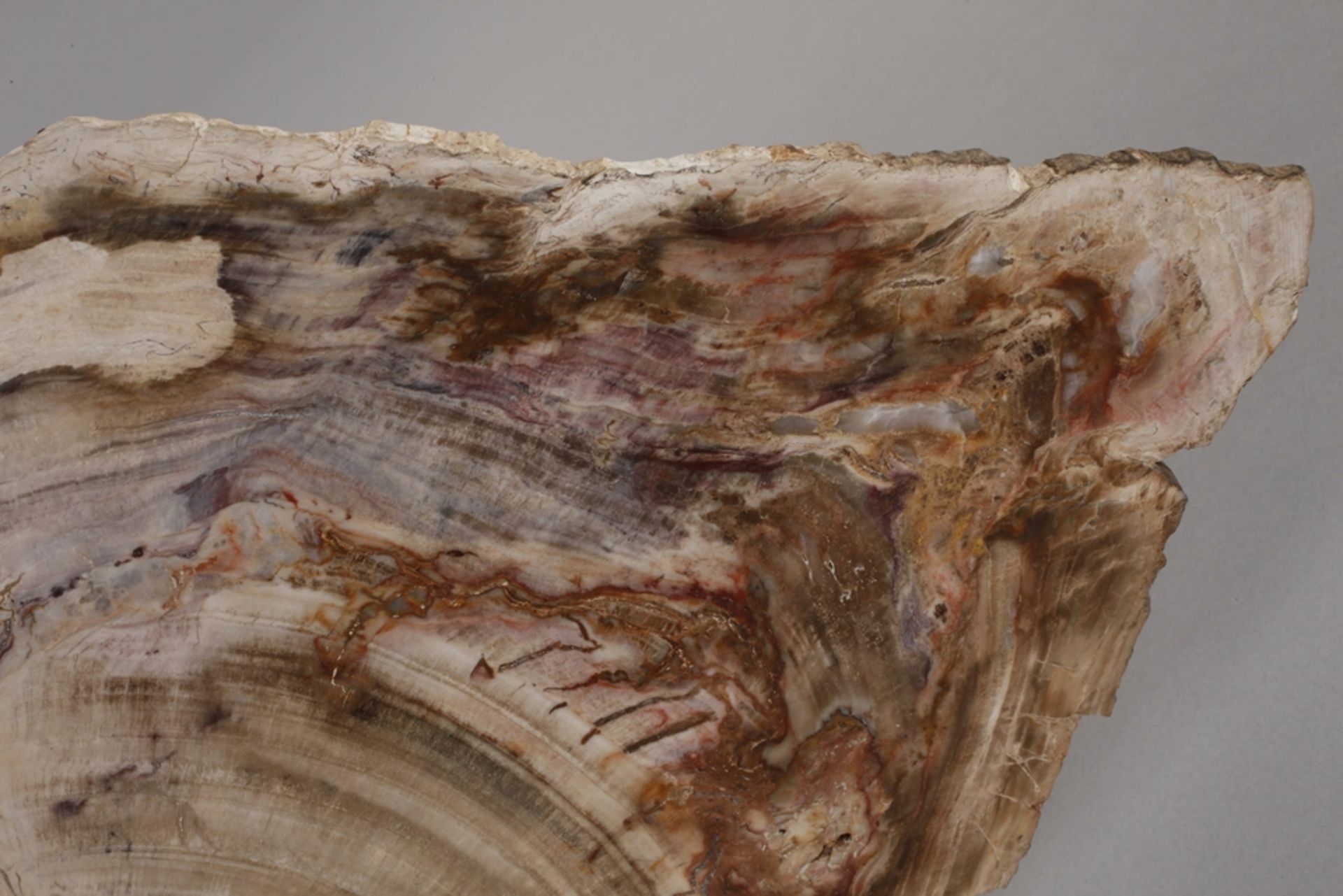 Fossilised wood - Image 3 of 5