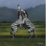 Tony Karpinski, Kämpfende Zebras