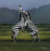 Tony Karpinski, Kämpfende Zebras