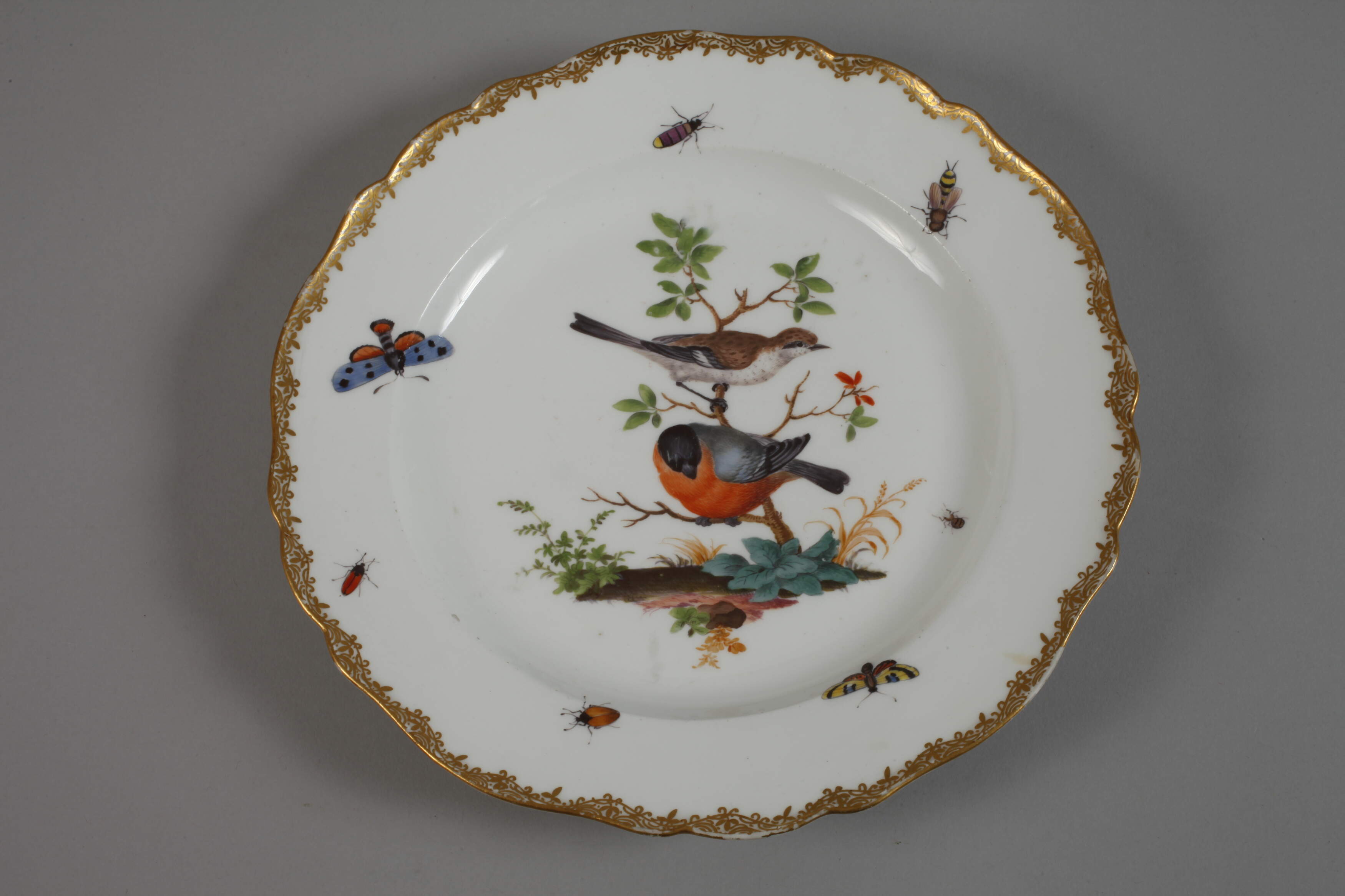 Meissen ornamental plate bird painting  - Image 2 of 4