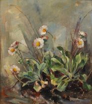 Friedrich Dietsch, Gänseblümchen