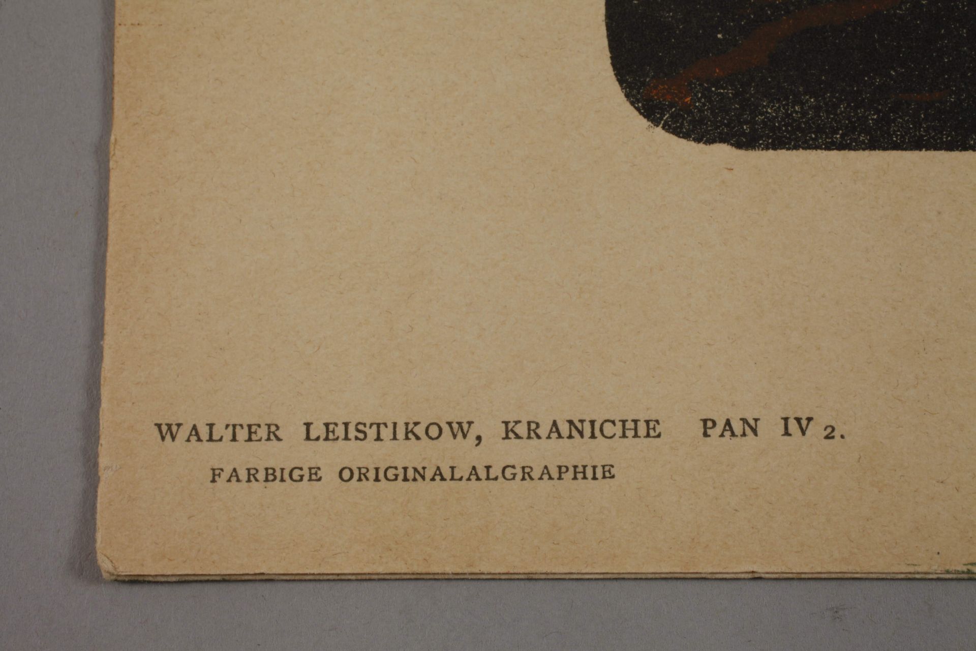 Walter Leistikow, "Kraniche" - Bild 3 aus 4