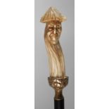 Walking stick horn