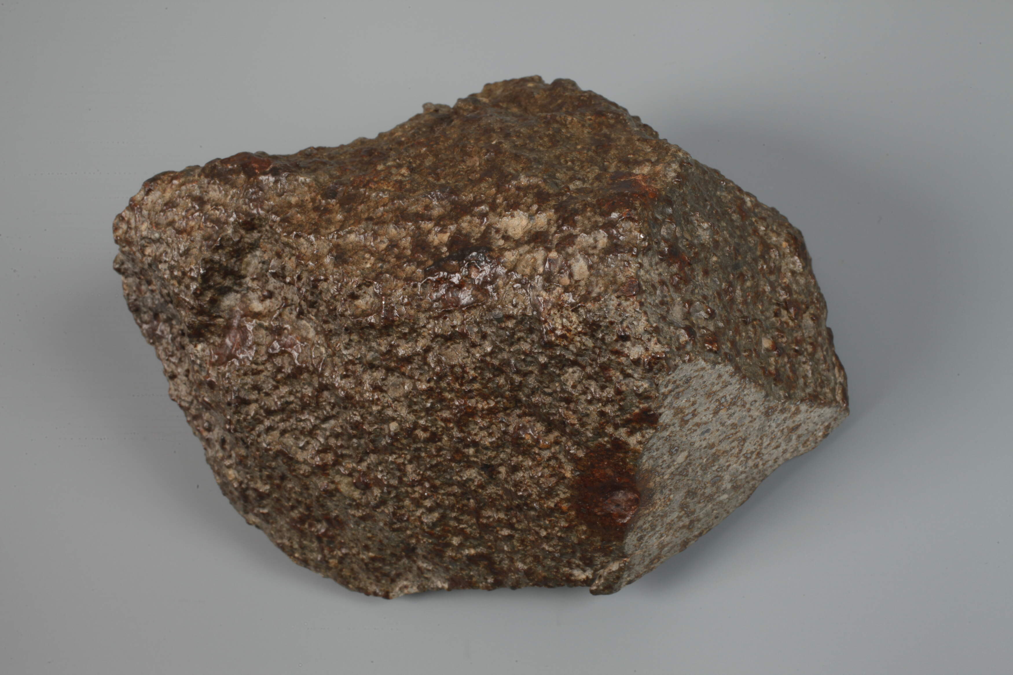 Steinmeteorit NWA 1499/Sahara - Bild 3 aus 4