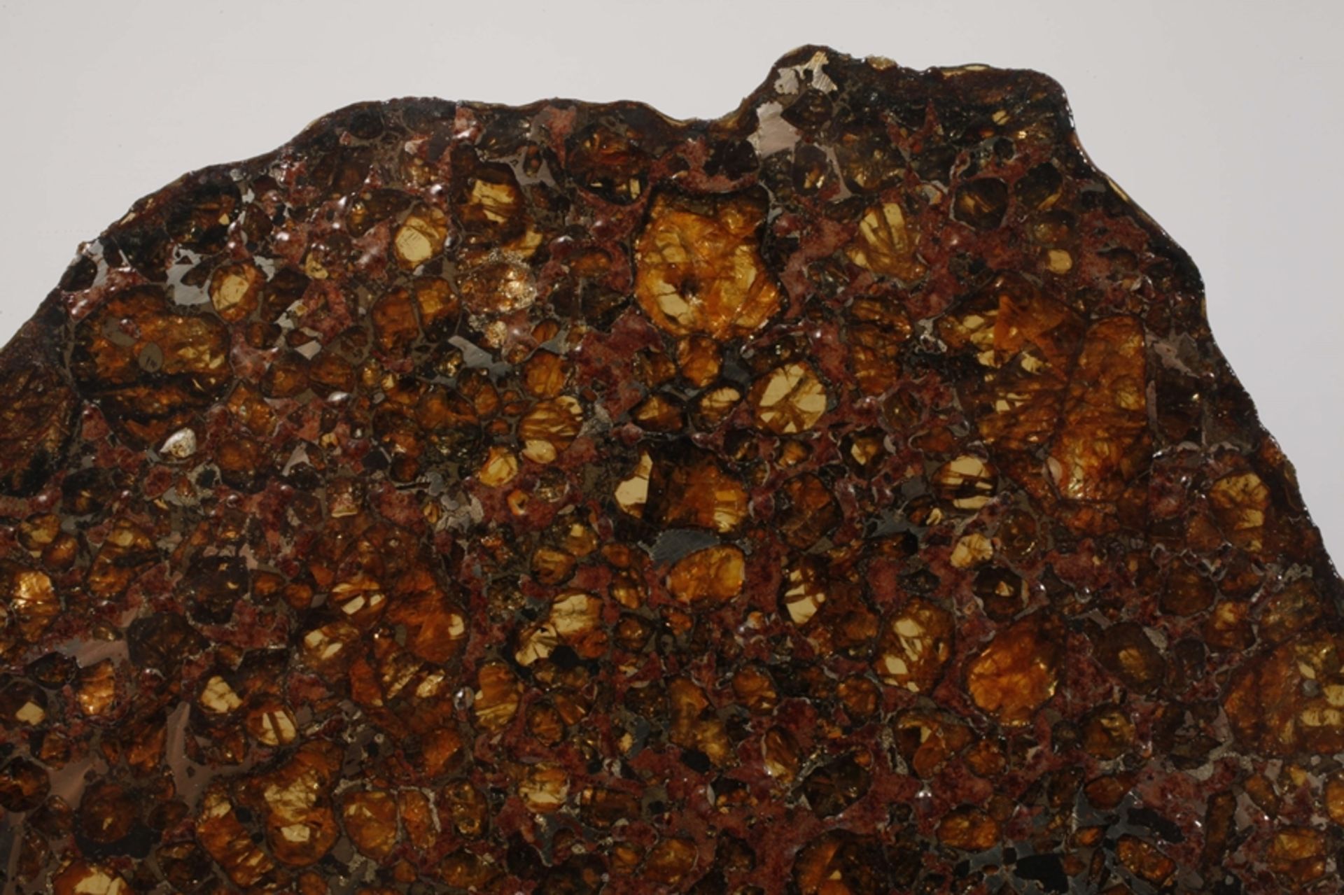 Meteorit Brahin Pallasit - Bild 2 aus 6