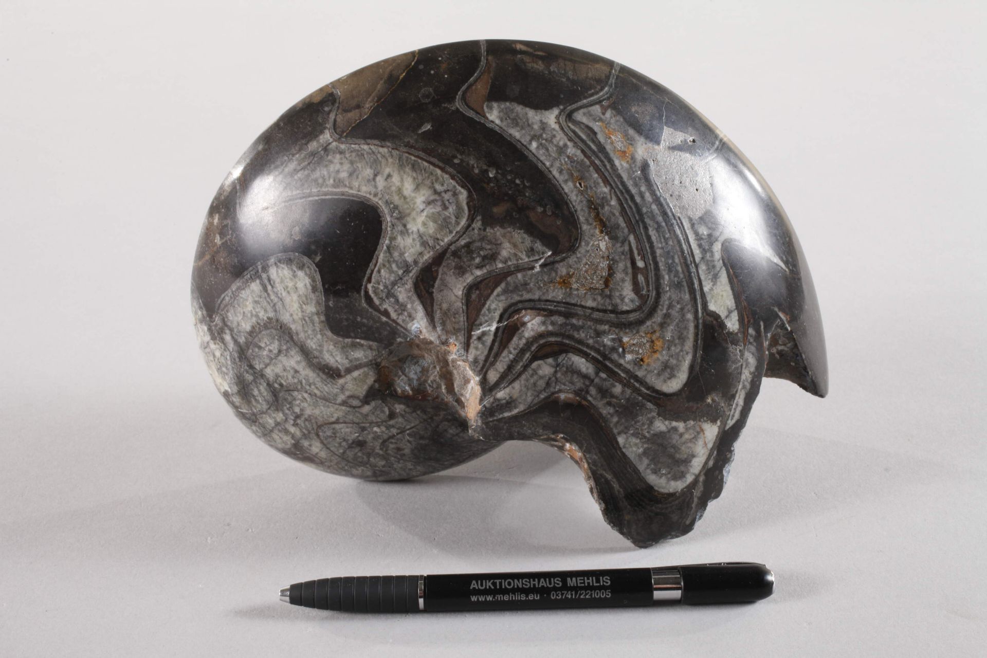 Angeschliffener Ammonit - Bild 2 aus 4