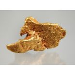 Large gold nugget