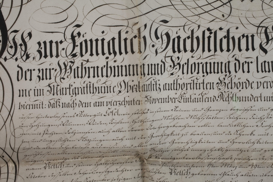 Letter to Friedrich August, King of Saxony - Image 3 of 7