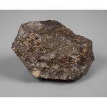 Stone meteorite NWA 1499/Sahara